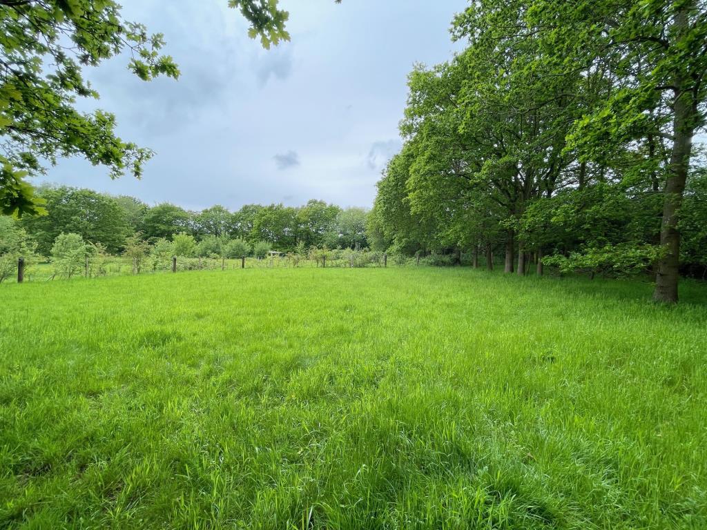 Lot: 71 - FREEHOLD PARCEL OF LAND - Freehold parcel of land just outside the Essex village of Stock